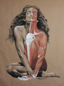 Original Art, Nude Art Female - Charcoal - Graphite, conte, pastel drawing "MUSCLE WOMAN" by Marcy Ann Villafaña