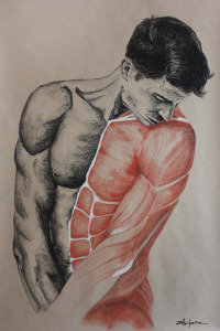 Original Art, Nude Male Figure Art - Drawing / Illustration Charcoal - Graphite "SHY GUY" by Marcy Ann Villafaña
